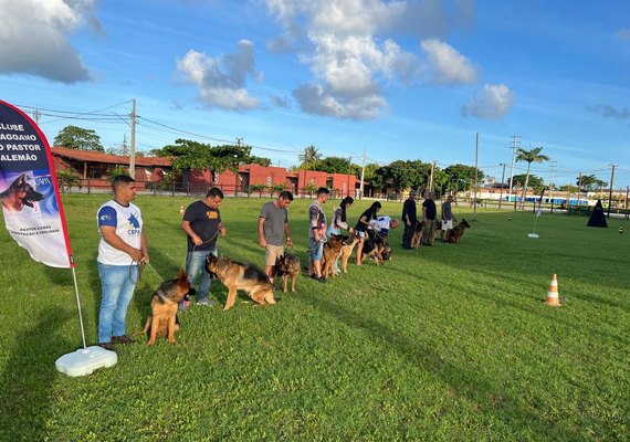 Melhores cães da raça participam de Encontro de Pastor Alemão em Maceió
