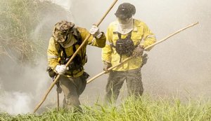 Governo autoriza contratação de brigadas federais pelo Prevfogo para atuar em dezenas de municípios