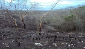 MPF aciona herdeiros por degradação ambiental em área da Terra Indígena Kariri-Xocó