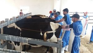 Curso capacita produtores em inseminação artificial de bovinos