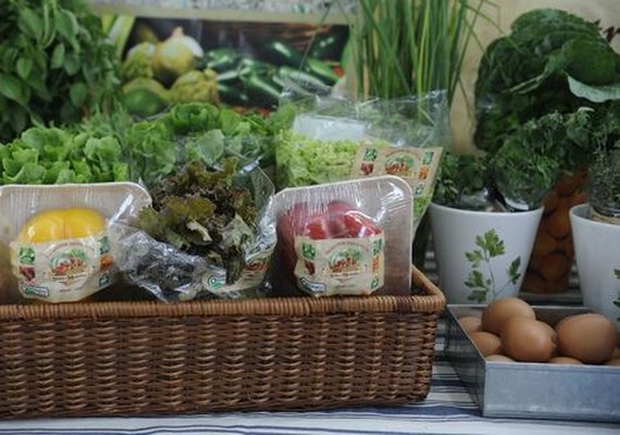 Consumo nos Lares Brasileiros cresce 1,83% em novembro
