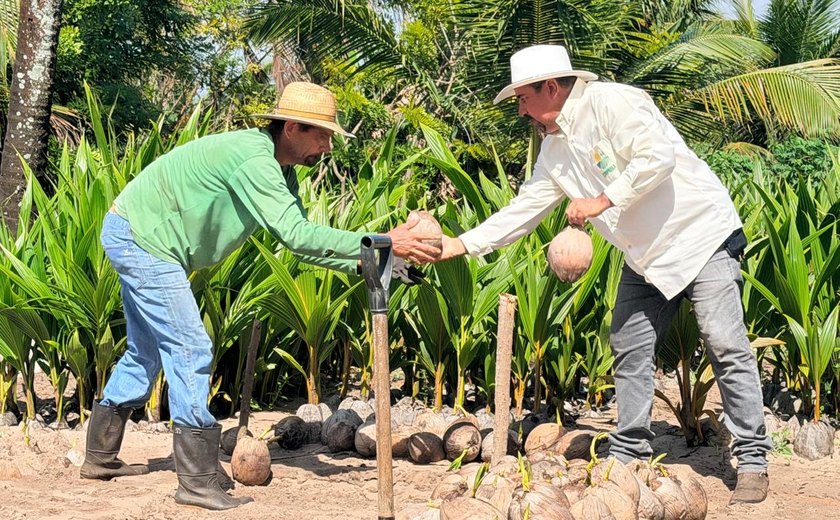 Coopaiba amplia a agroindústria, processa 6 milhões de frutos e fortalece um ecossistema de oportunidades no campo