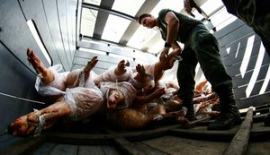 FPI recolhe mais 5,5 toneladas de carne imprópria para consumo em Arapiraca