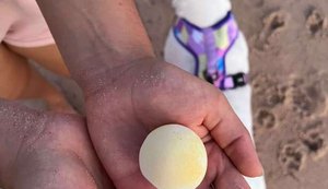 Erosão: Avanço da maré desenterra ninhos de tartarugas marinhas