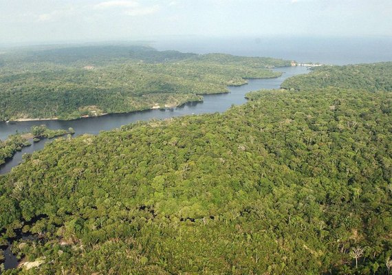 Governo Temer convoca mineradoras à nova caça ao ouro na Amazônia