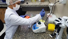 Perícia de AL começa a inserir perfis genéticos de condenados em banco de dados nacional