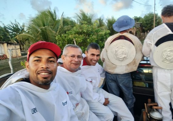 Curso de apicultura encanta participantes com capturas de enxames e vivência prática no campo