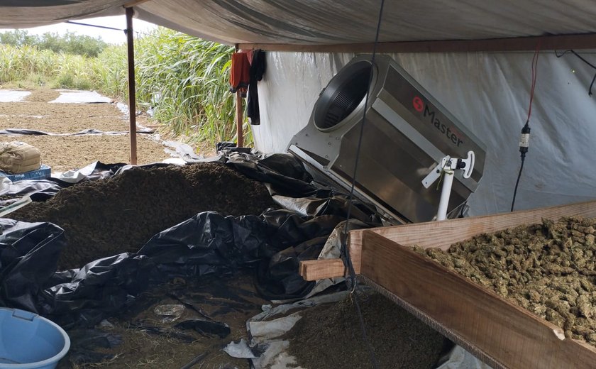 Polícia Federal apreende cerca de duas toneladas de maconha “gourmet”  na divisa de AL com PE