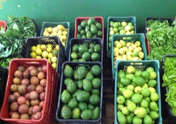Codevasf investirá R$ 2,7 milhões na implantação da Rota da Fruticultura em AL