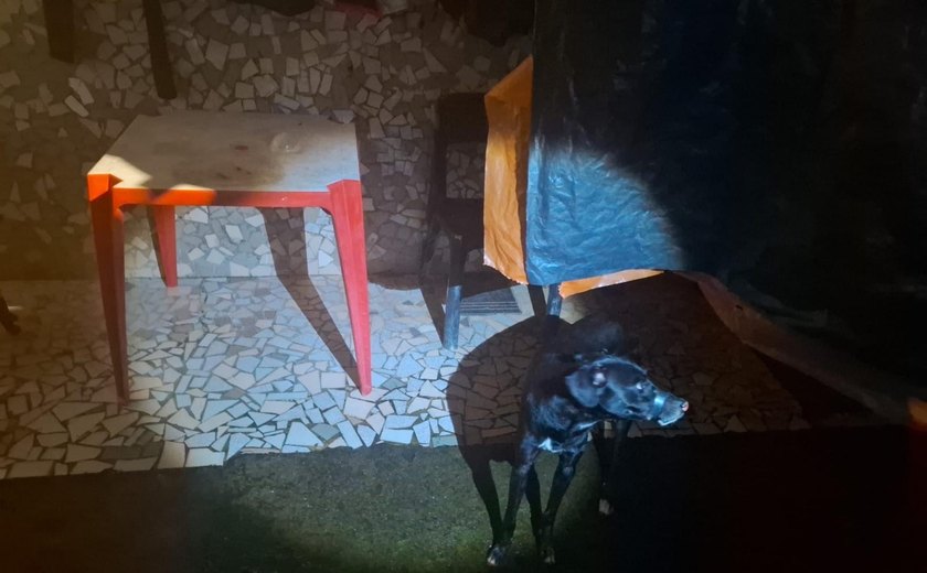 Preso suspeito de vedar boca de cachorro com fita isolante em Maceió