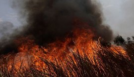 Investidores institucionais cobram empresas por ações contra desmatamento da Amazônia