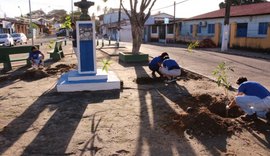 Maceió+Verde inicia plantio de mudas de árvores em Ipioca