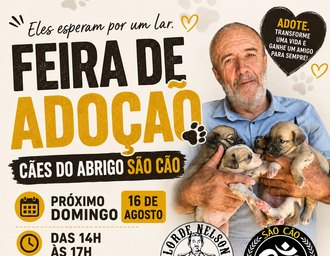 Feira de adoção reúne cães à espera de um novo lar em Maceió