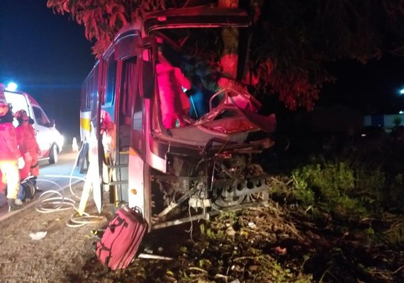 Três pessoas morrem e três ficam gravemente feridas após ônibus colidir em árvore