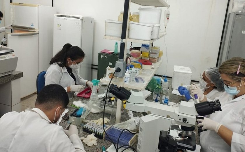 Pesquisa da Ufal investiga potencial do extrato do quiabo no tratamento contra o câncer