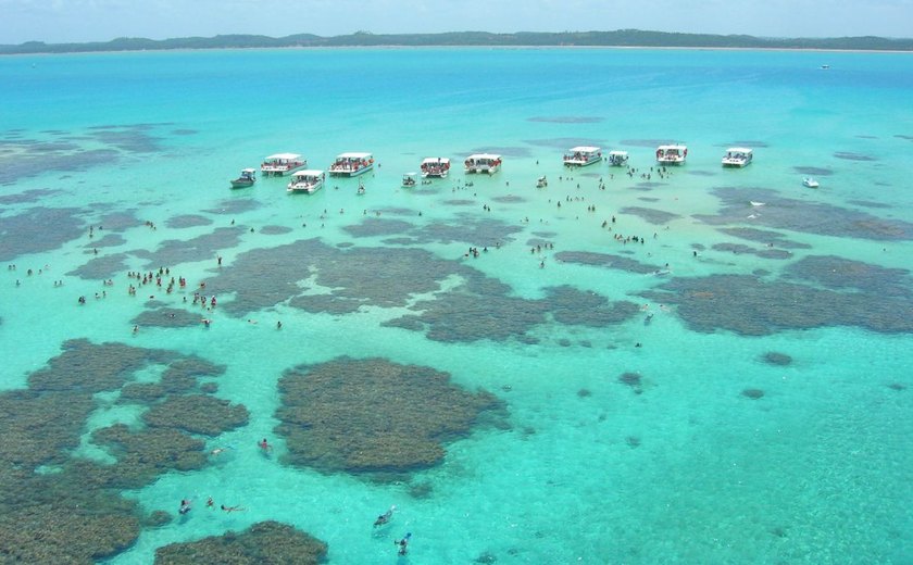 Maragogi é eleita a 14ª praia do Brasil pela Expedia