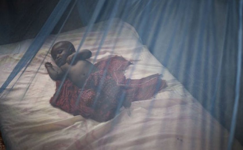 Fundação Gates investe na eliminação da malária no Brasil