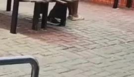 PC/AL abre inquérito para investigar casal flagrado fazendo sexo em praça pública