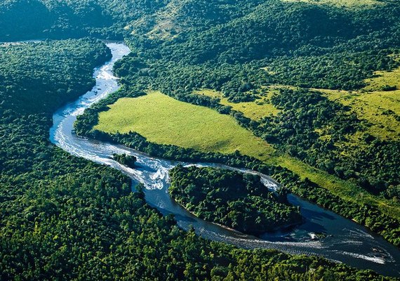 Juiz Federal de Alagoas suspende decreto que extinguiu Reserva Nacional