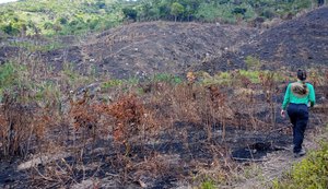 Período seco e baixa umidade em Alagoas aumentam riscos de queimadas