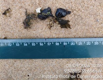 Manchas de óleo são encontradas entre praias de Riacho Doce e Guaxuma nesta terça-feira (8)