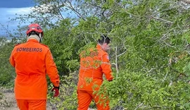 Bombeiros realizam buscas por pessoa desaparecida em mata no Sertão de Alagoas