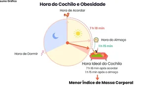 Pesquisa identifica horário do cochilo associado a menor peso corporal