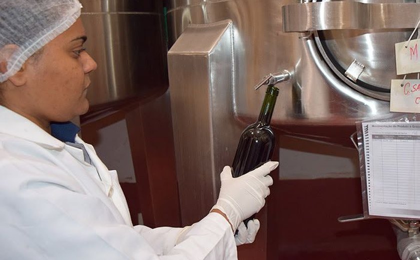 Primeiros vinhos brasileiros são certificados em boas práticas agrícolas e de produção