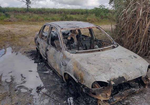 Carro é encontrado carbonizado dentro de canavial em São Sebastião