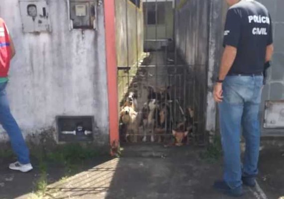 Polícia Civil apura denúncia de maus tratos a animais