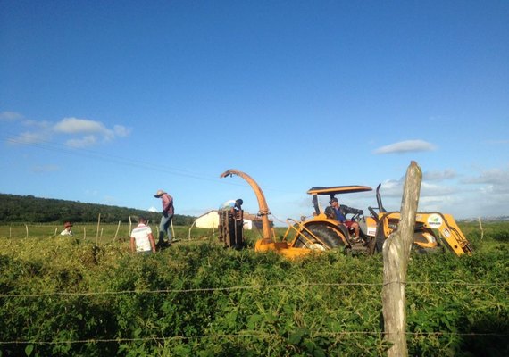 Secretário de Agricultura elogia trabalho em comunidades rurais de Arapiraca