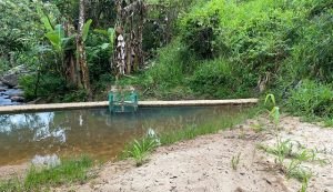 Casal faz limpeza emergencial em barragem de Colônia Leopoldina