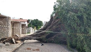 Defesa Civil está em alerta e monitora chuvas em Maceió