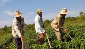 Reforma do trabalho rural prevê pagamento com comida