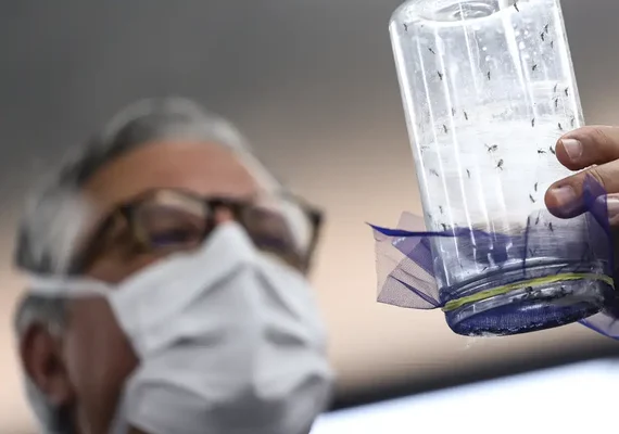 Fábrica de mosquitos oferece tecnologias para redução da dengue