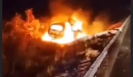 Carro cai em ribanceira e pega fogo na AL-220, em Olivença