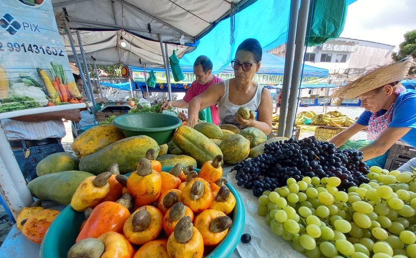 Feira oferta produtos direto da roça a cada 15 dias em Maceió