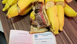 Mulher é presa com maconha dentro de cacho de banana