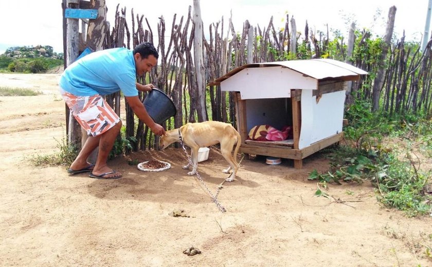 'Tenho amor', diz homem que vendeu casa para cuidar de cães abandonados na PB
