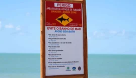 Por que ataques de tubarão são mais comuns em praias de Pernambuco?