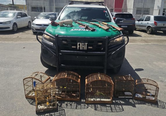 Operação ambiental apreende animais silvestres e três armas no Litoral Norte