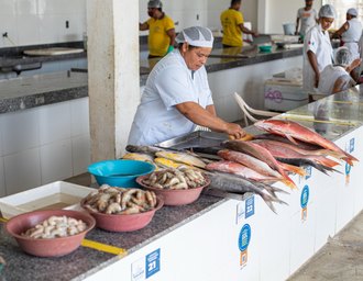 Vigilância Sanitária orienta consumidores sobre como escolher pescados