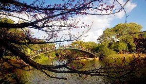 Recém-nascido é encontrado morto no lago do Parque Ibirapuera