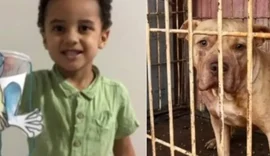 Menino de 3 anos morre após ser atacado por pit-bull