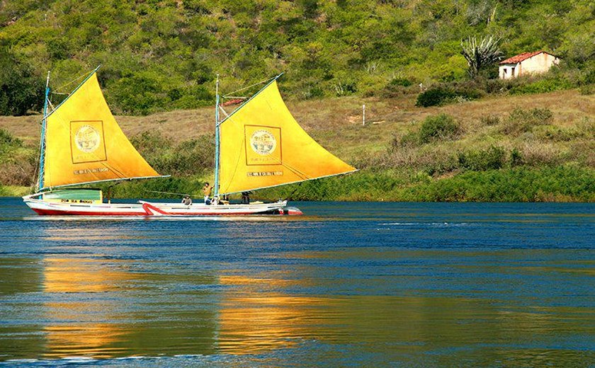 Prefeitura de Piranhas abandona a canoa de tolda, símbolo do Baixo São Francisco