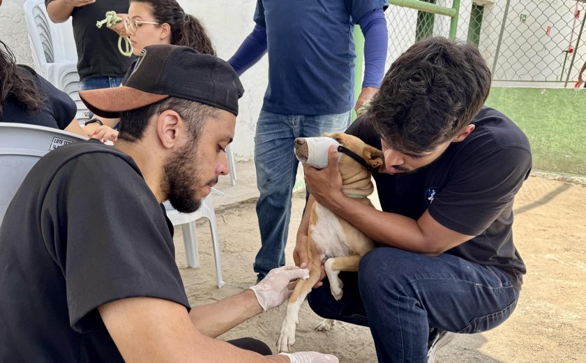 Ação itinerante promove serviços gratuitos para cães em situação de rua