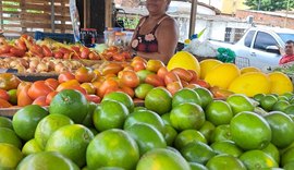 Dia do Empreendedorismo Feminino: mulheres se destacam com histórias de transformação e apoio de projeto social no Vergel
