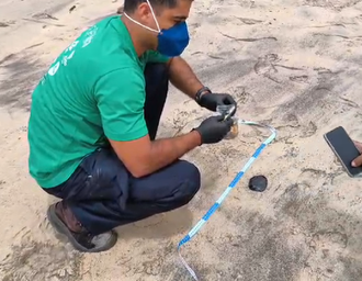 Novos vestígios de óleo são encontrados em praia de Marechal Deodoro