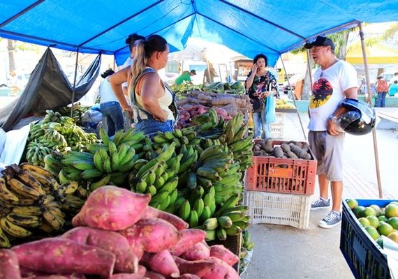 Feira Camponesa oferta 100 toneladas de alimentos