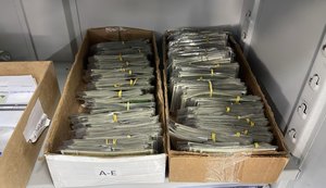 Mais de 147 mil Carteiras de Identidade Nacional aguardam retirada no Instituto de Identificação